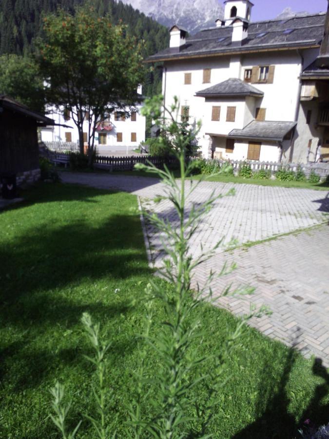 Da Carla Dolomiti Val Di Zoldo Διαμέρισμα Εξωτερικό φωτογραφία
